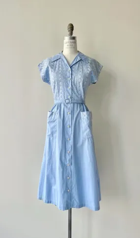 Out of the Blue Dress | 1950s