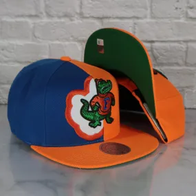 University of Florida Gators Retroline Logo Outline Vintage Snapback Hat | Mitchell and Ness Gators Snap Cap